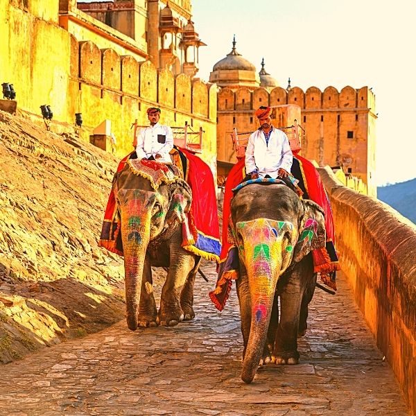 amber fort india agra jaipur forti jaipur palazzo di jaipur jaipur amber fort