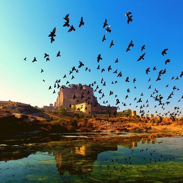 fort de mehrangarh jodhpur inde fort mehrangarh voyage jodhpur palais jodhpur