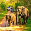 periyar wildlife sanctuary periar bandipur bandipur tiger safari bandipur national park