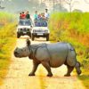 kaziranga-nationalpark kaziranga nationalpark indien kazirange kaziranga national park map kaziranga park kaziranga zoo