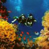 things to do in andaman nicobar andaman and nicobar activities to do in andaman nicobar things to do in andaman and nicobar